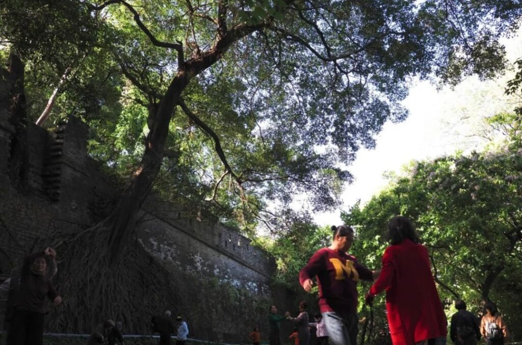 People walking in a lush park.