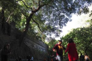 Following a Local in Yuexiu Park: Dancing by the Ancient Wall and Cultural Legends 3 Guangzhou Visitor People walking in a lush park, Yuexiu Park