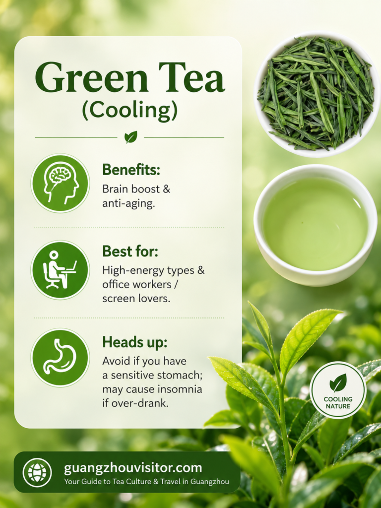 A Quick Guide to the 6 Main Teas – Which One Suits You? 2 Guangzhou Visitor Why Six Teas from One Plant