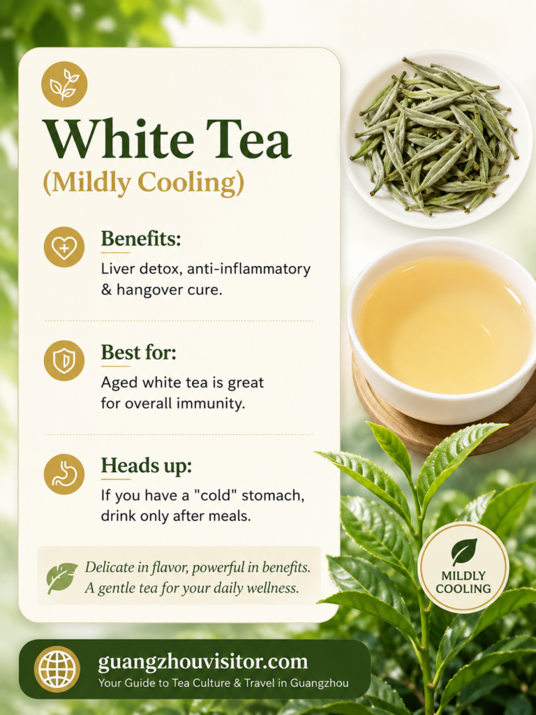 A Quick Guide to the 6 Main Teas – Which One Suits You? 3 Guangzhou Visitor A Quick Guide to the 6 Main Teas – Which One Suits You?